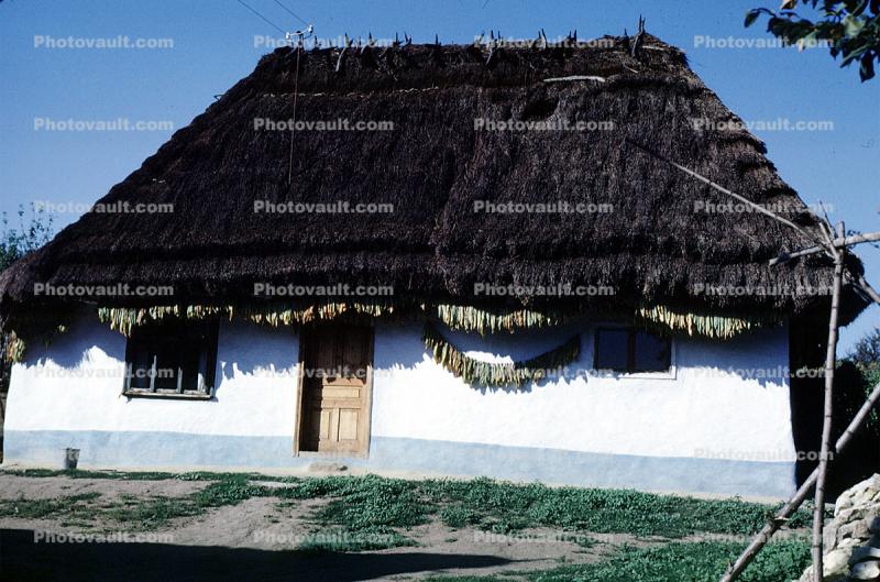 Home, House, Grass Roof, August 1968