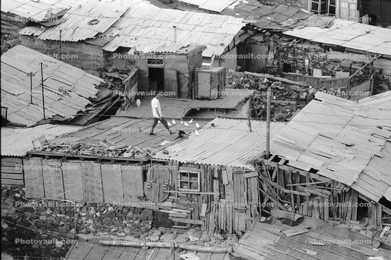 Man Walking on a Roof, pigeons, homes, houses, shantytown, Yerevan