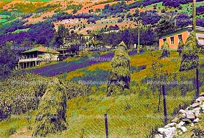 Hay Stacks, homes, houses, hill, hillside
