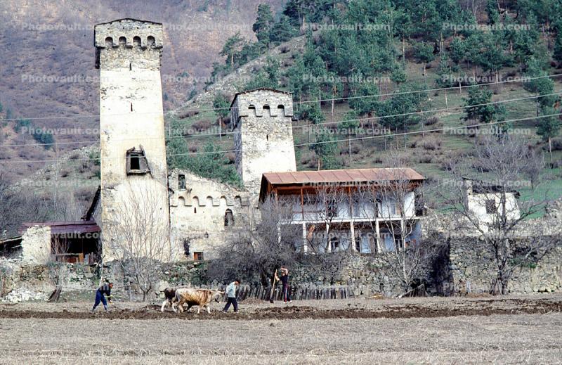 Plowing, Growing Field, Towers, Buildings, home, house, stone wall, Svaneti, Caucasus Mountains