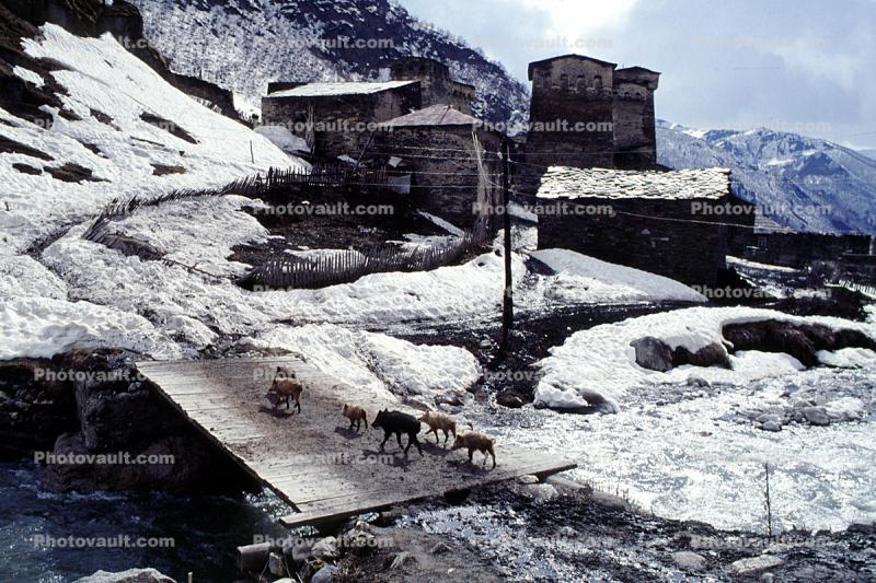 Cows, Road, River, Bridge, Towers, buildings, valley, Svaneti, Caucasus Mountains