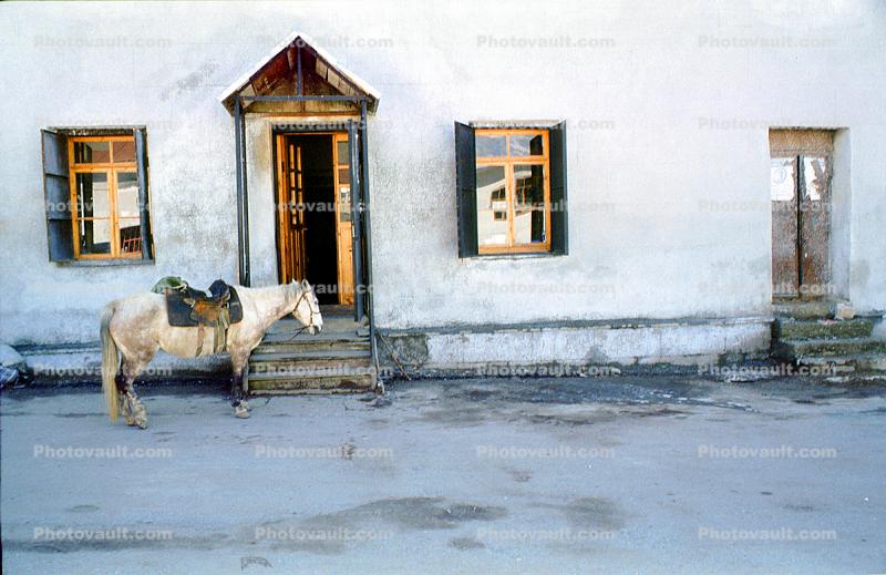 Mule, Saddle, Home, House, Door, Doorway, steps, stairs, windows, triangle, building, Mestia, Svaneti