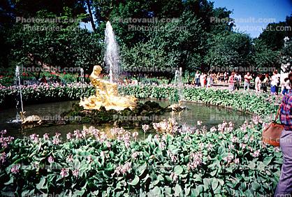 Water Fountain, aquatics, Summer Palace in Petrodvorets, 1950s