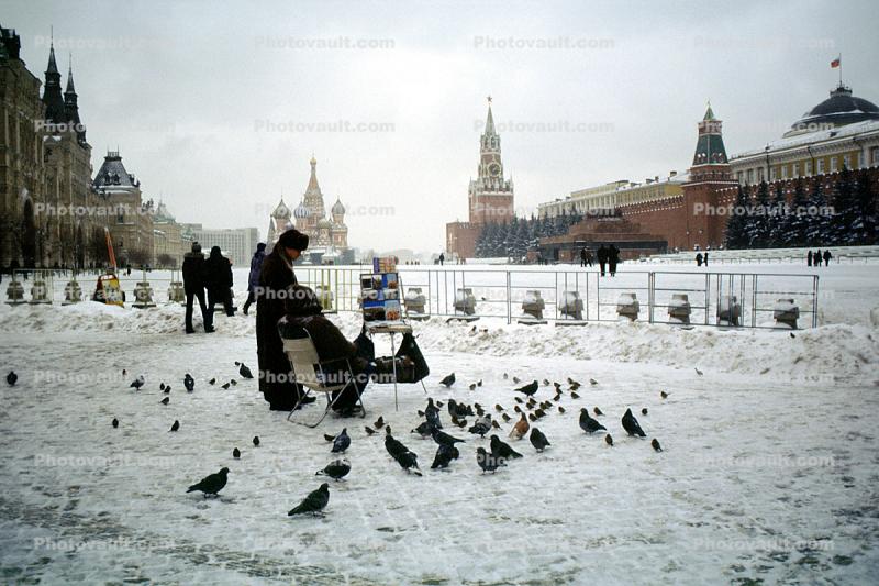 Pigeons, Red-Square, Saint Basil, Kremlin Walls, snow, ice, cold, winter