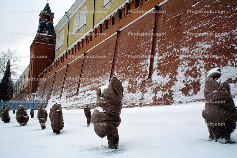 Red-Square, Kremlin Walls, snow, ice, cold, winter, wrapped Bushes, The Senate Tower