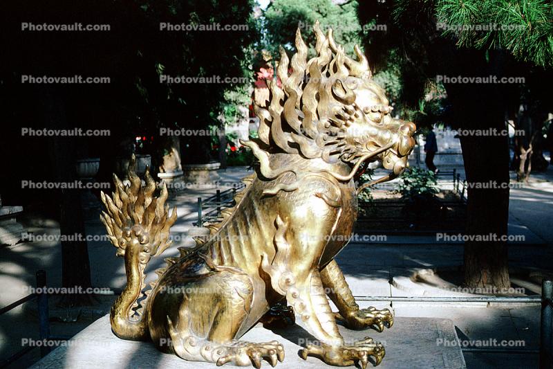Dragon, claws, creature, Statue, figure, golden, Lion