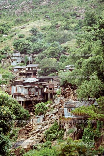 Crowded Shanty Town, Hillside, trees