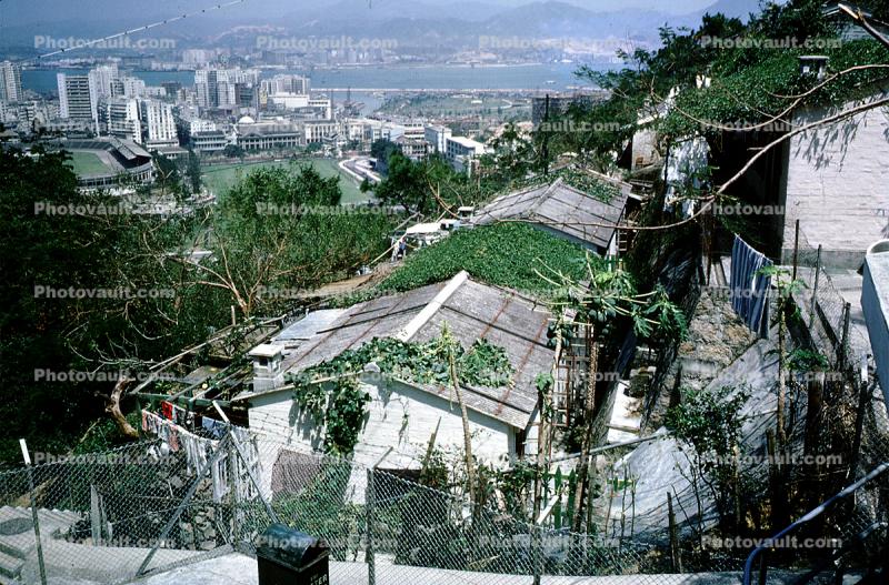 Shantytown, Housing, Buildings, Poverty, Hills, 1962, 1960s