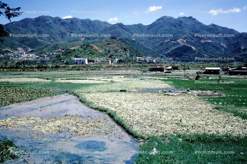Village, Mountains, wet fields, Guangdong