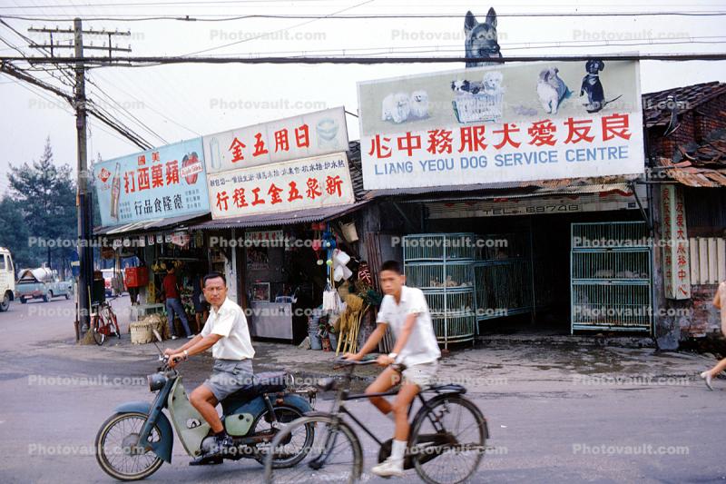 Liang Yeou Dog Service Centre, shops, stores