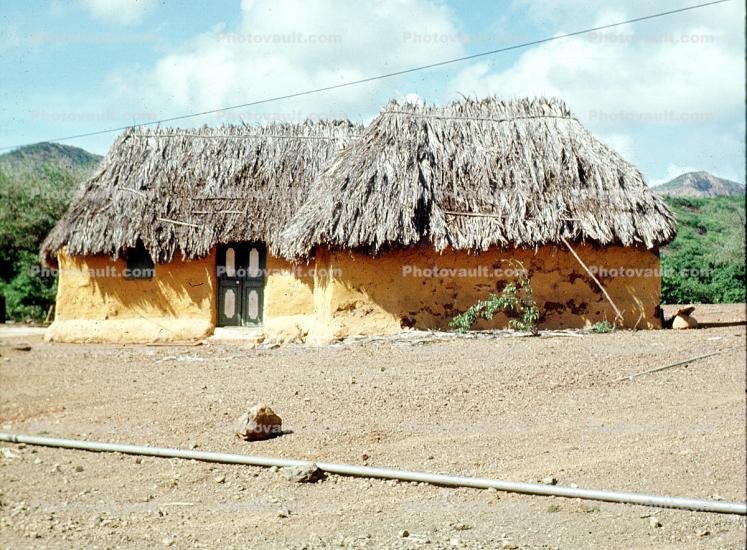 Grass Thatched roof, hut, building, home, house, mud, adobe, Curacao, Sod