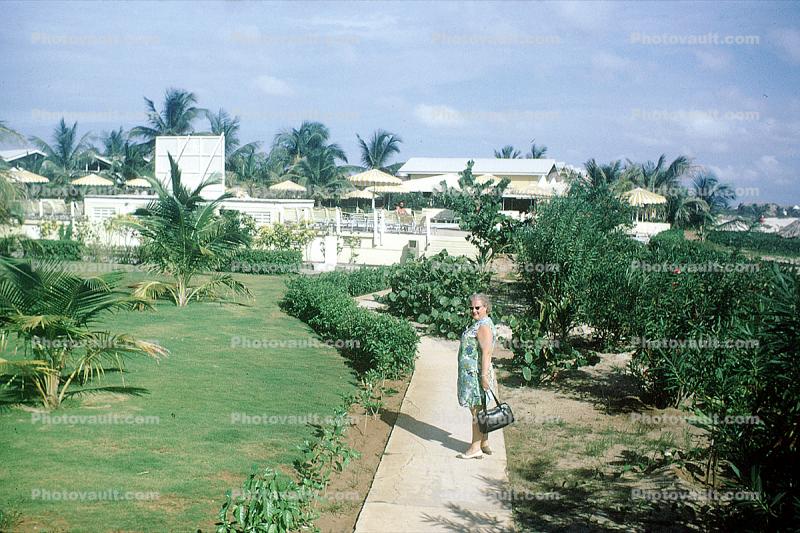 Path, walkway, Divi Hotel, Aruba