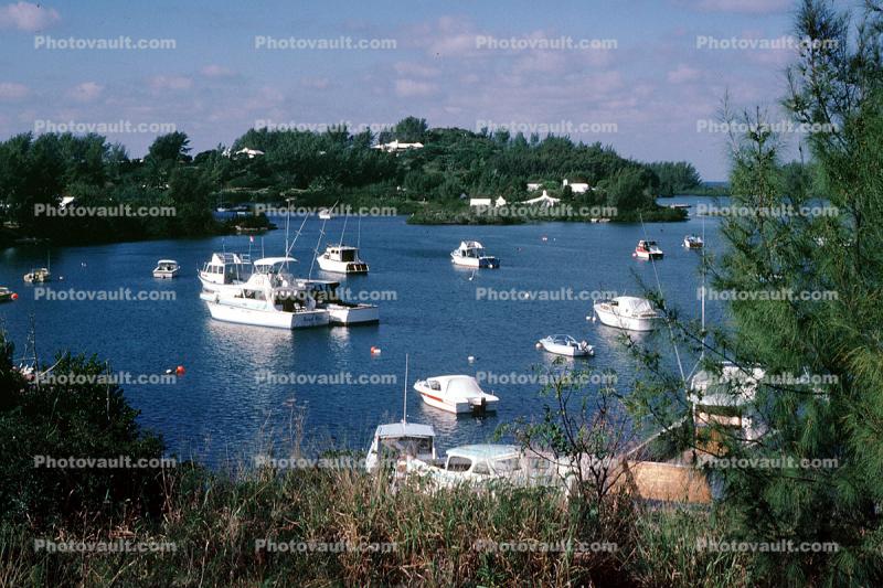 Ely's Harbor, Hills, Homes, Boats, trees