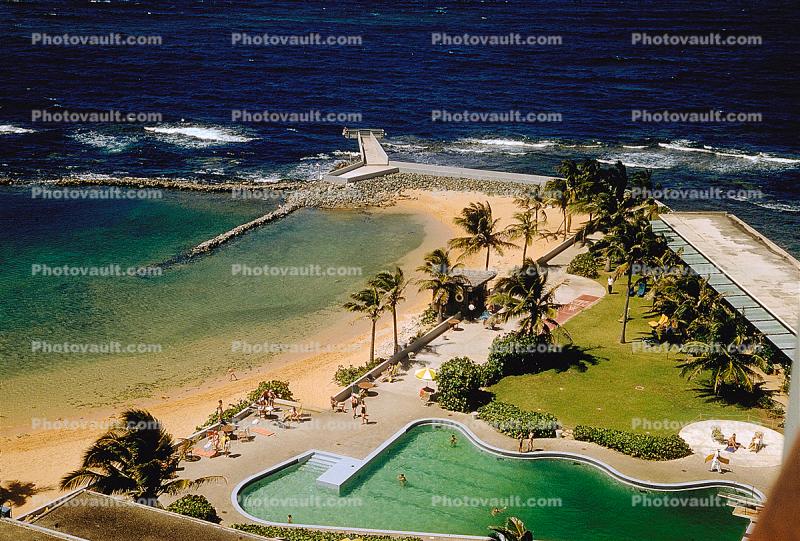 Hotel Pool, palm trees, windy