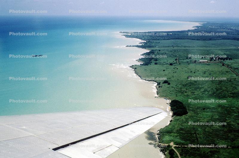 Coast, Coastal, Shoreline, shore, lone wing in flight, Flaps, USA Virgin Islands