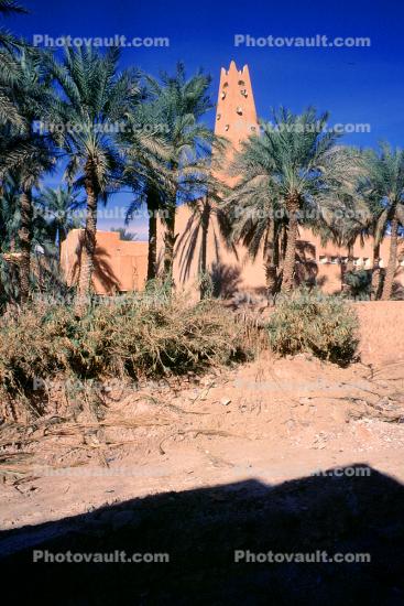 Sahara Desert, Tower, Palm Trees