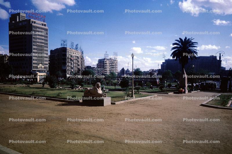 Park, Buildings, Palm Tree, Pathways, 1964, 1960s