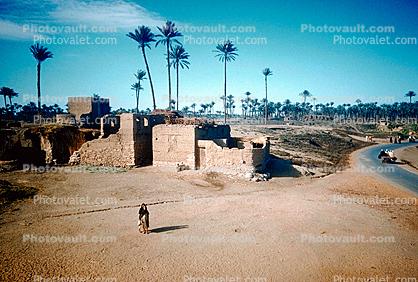 ruins, road, palm trees, 1950s