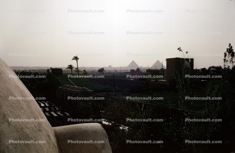 Pyramids, Giza, Cairo