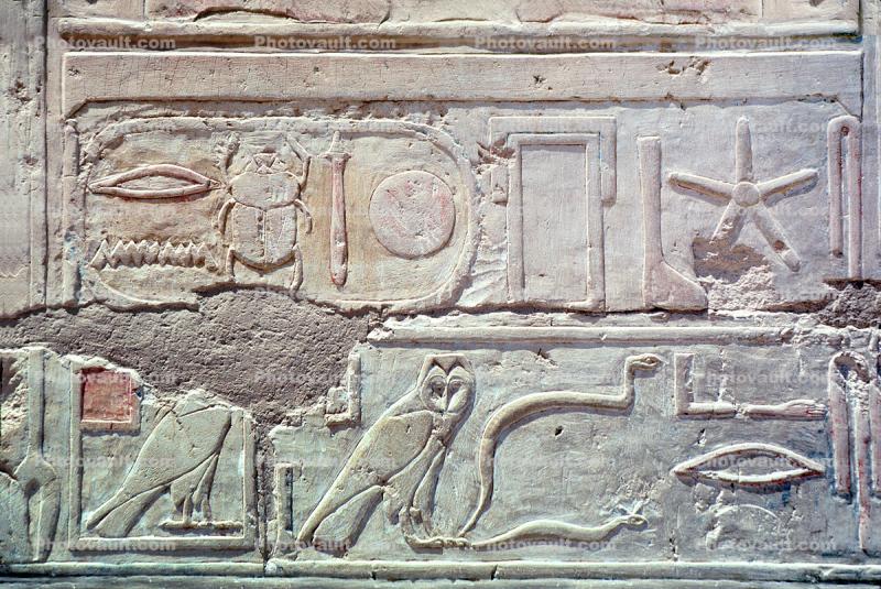bar-Relief art, Owl, Scarab Beetle, starfish, falcon, snake, Temple of Queen Hatshepsut, Mortuary Temple of Queen Hatshepsut, dedicated to the sun god Amon-Ra, serpent