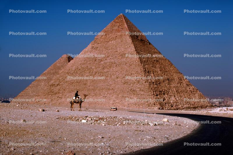 The Great Pyramid of Cheops, Road, Giza, camel