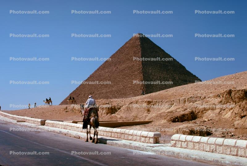 Pyramid, Men Walking, Camel, Giza