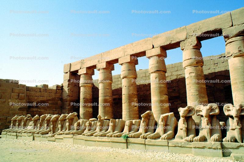Rams, Karnak, Luxor, statues