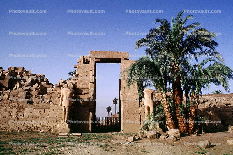 Karnak, Luxor, Palm Trees
