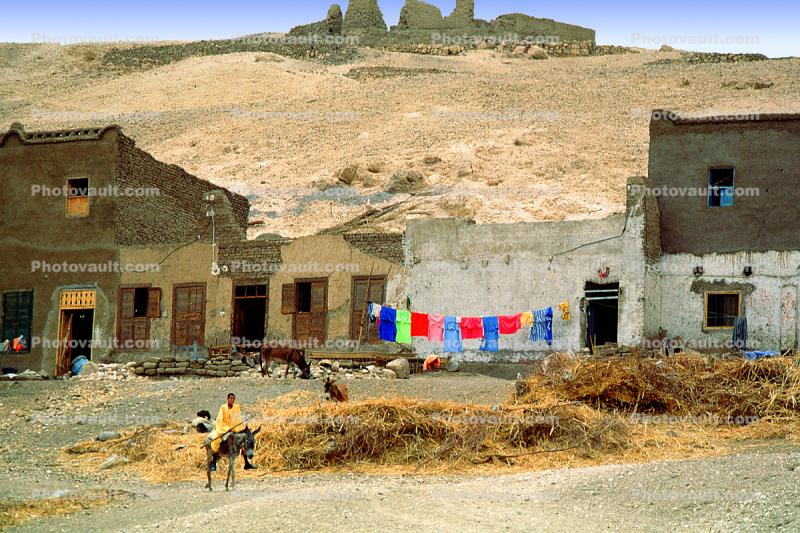 Town of Thebes, Buildings, Hill, Homes, Karnak, Donkey