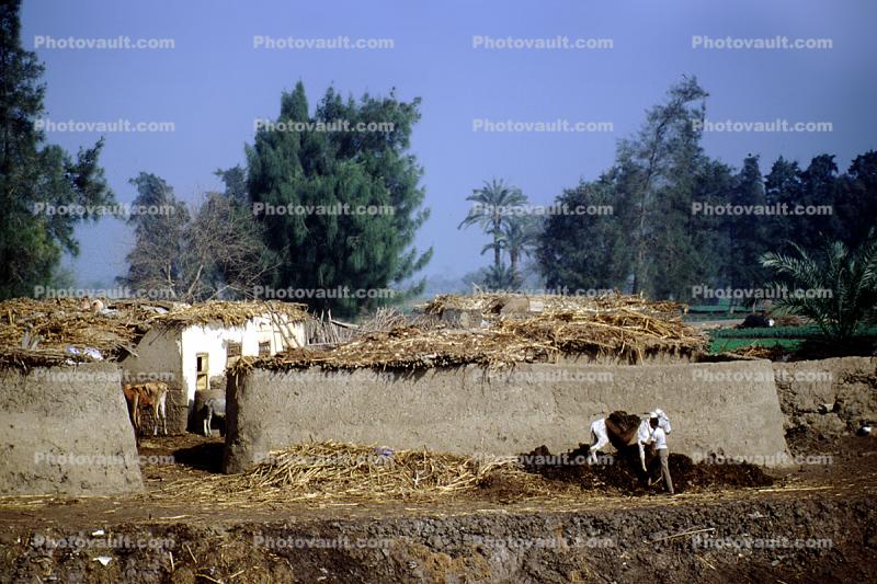 Home, House, near Cairo, Thatched Roof House, grass roof, building, Sod