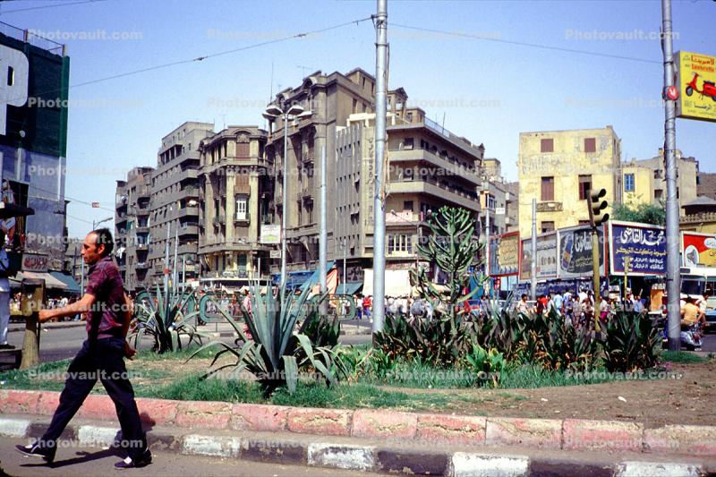 Cactus Garden, man walking, Buildings, Downtown Cairo