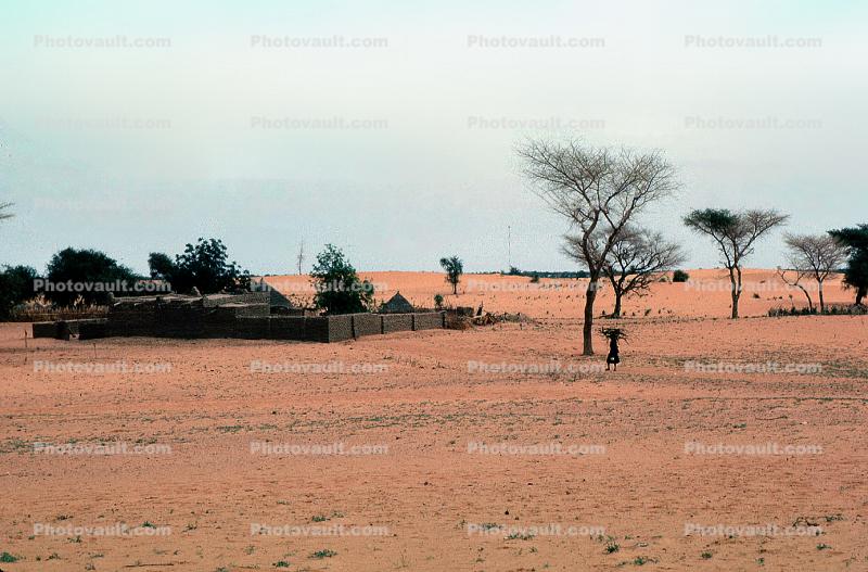 Village, wall, desert, bare tree, drought, Diomga, Province de l? Oudalan, Sahel desert