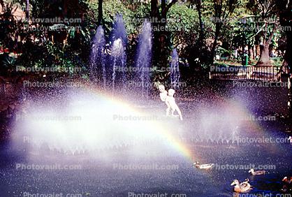 Water Fountain, aquatics, rainbow