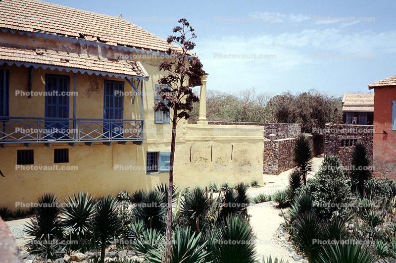 Slaves House, Goree Island, yucca plant, Dakar