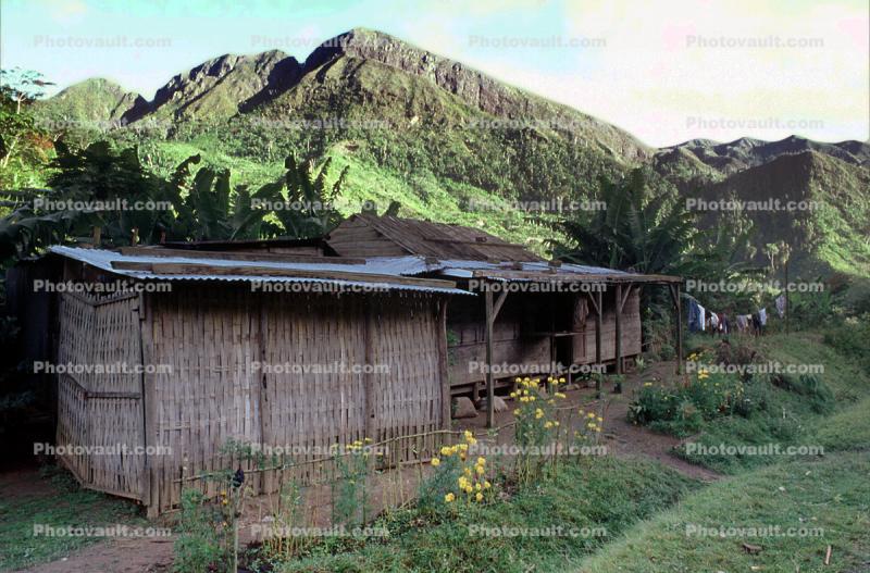 Thatched Grass Walls, home, house, flowers, mountains, building, Sod