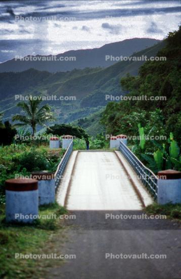 Bridge in the jungles, mountains