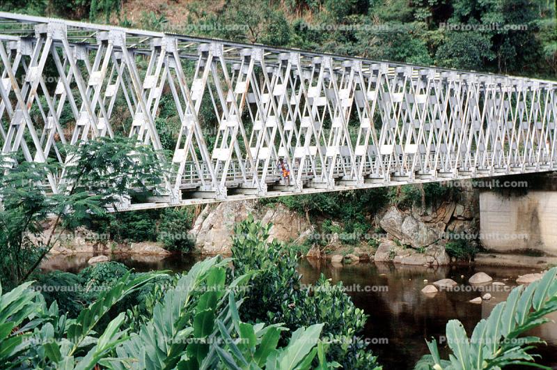 Truss Bridge, River, jungle