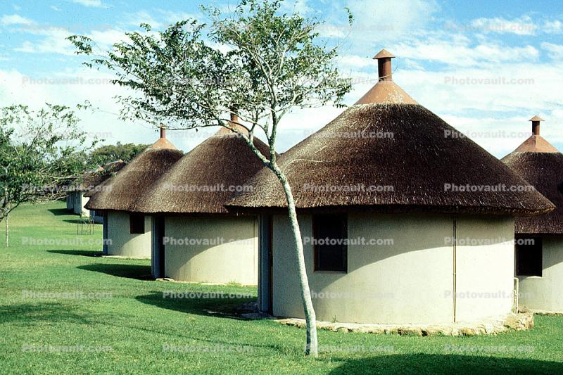 Round Huts, Garden, Tree, roundhouse, Thatched Roof House, Home, Grass Roofs, building, Sod