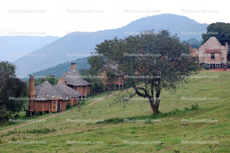Huts, Tree, Hills, Cottages, Buildings, Hotel, Thatched Roof, roundhouse, Sod