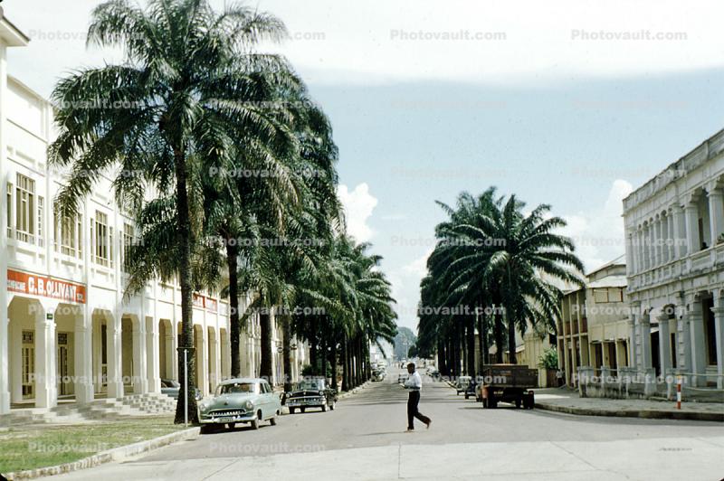 Tree Lined Street, buildings, 1950s