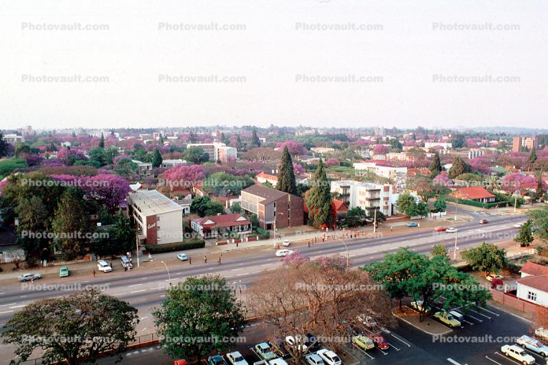 Cityscape, homes, trees, Harare
