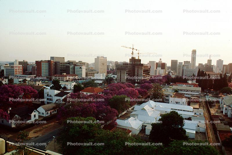 Cityscape, Skyline, Buildings, homes, trees, Harare