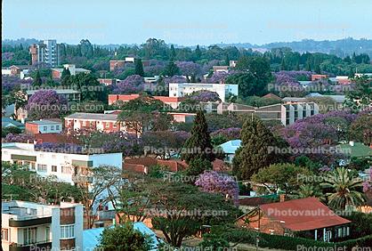 cityscape, buildings, homes, trees, Harare