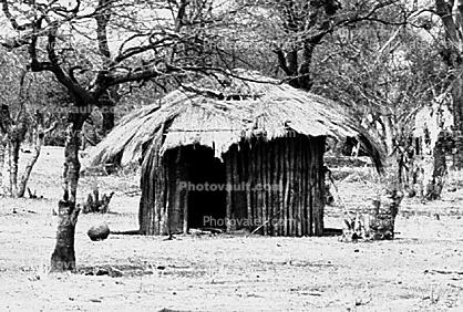 Thatched Roof Houses, Homes, Grass Roof, roundhouse, desert, buildings, trees, building, Sod