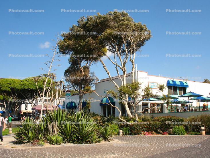 shops, buildings, stores, Laguna Beach