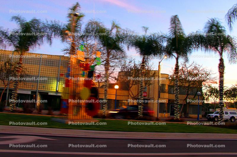 Palm Trees, Beverly Hills, buildings