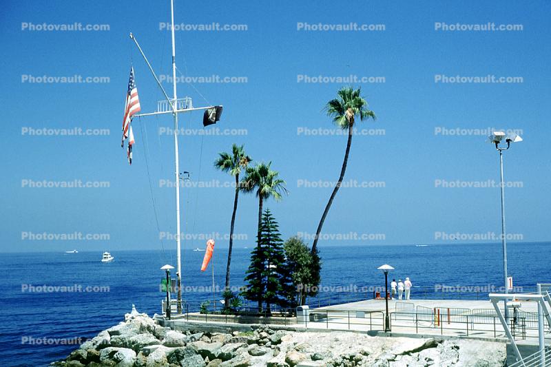 Palm Trees, Mast, Pacific Ocean, Avalon