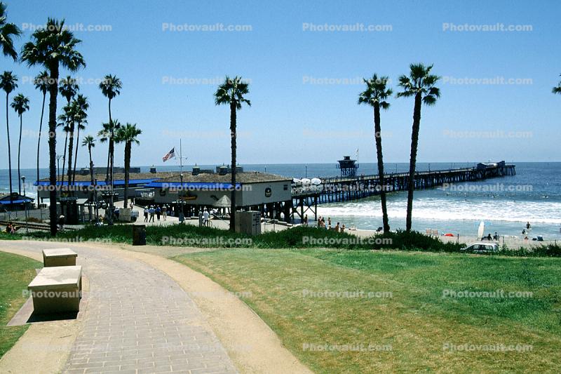 Palm tree, pier, bench, path, beach, pacific ocean, waves, San Clemente, landmark