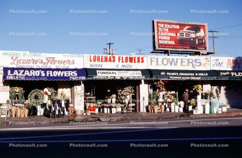 The Los Angeles Flower Market, stores, shops