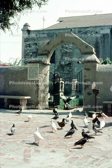 Pigeons, Mission San Gabriel, September 1970, 1970s